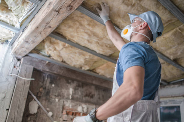 Best Insulation Maintenance and Repair in Goddard, KS
