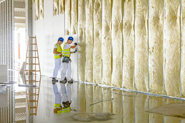 Best Commercial Insulation in Goddard, KS